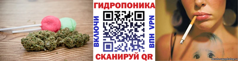 Cannafood марихуана  Купить где  Гвардейск 
