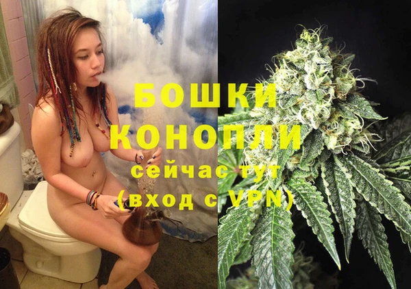 дживик Баксан
