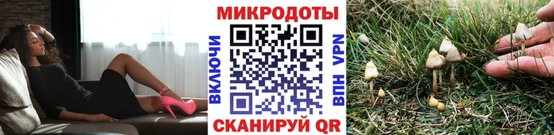 Псилоцибиновые грибы мухоморы  Купить  Гвардейск 
