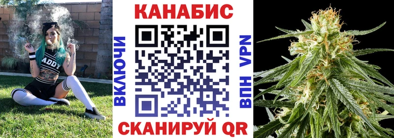 Купить  Гвардейск  Бошки марихуана ГИДРОПОН 